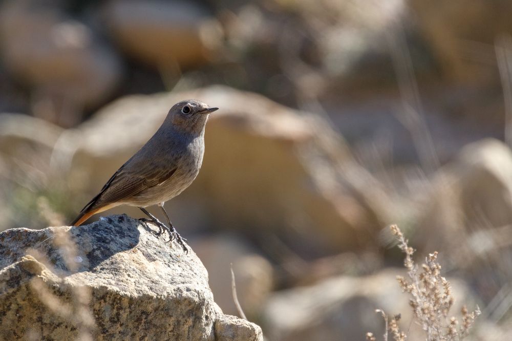 Photograph by Алексей Данилкин