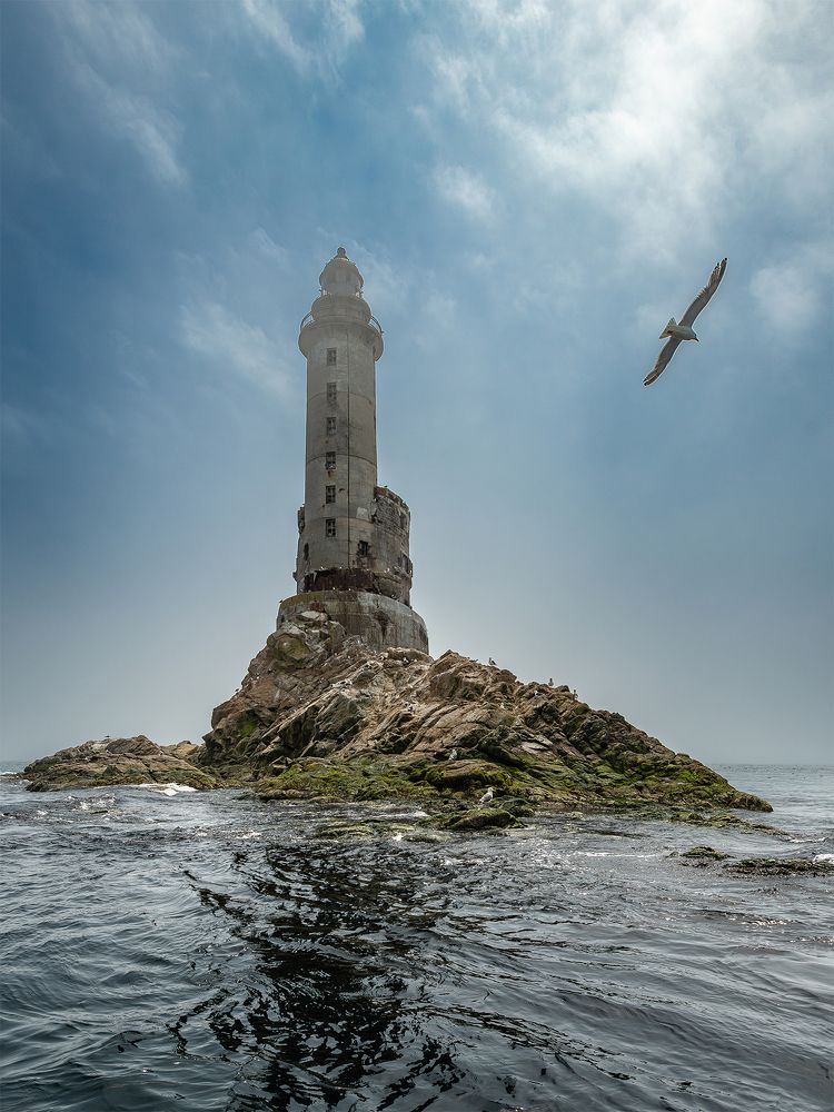 Photograph by Дмитрий Потапов