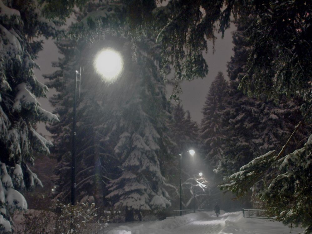 Photograph by Сергей Рябов