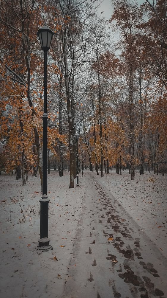 Фотография автора RENAT ABDULBYAROV