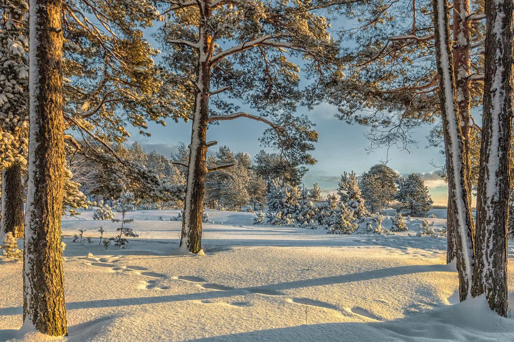 Photograph by Клясюк Галина