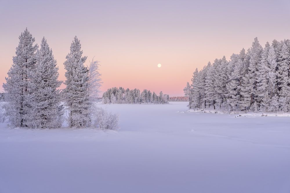 Photograph by Труханов Илья