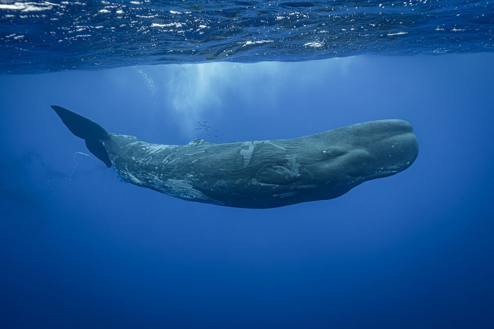 Photograph by Труханов Илья