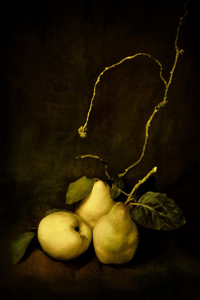 Photograph by Явор Янев