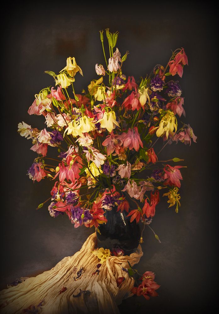 Photograph by Явор Янев