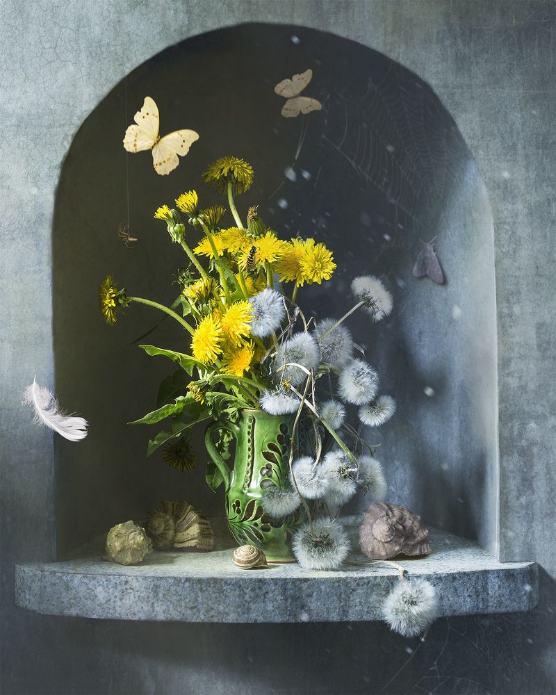 Il circolo della vita