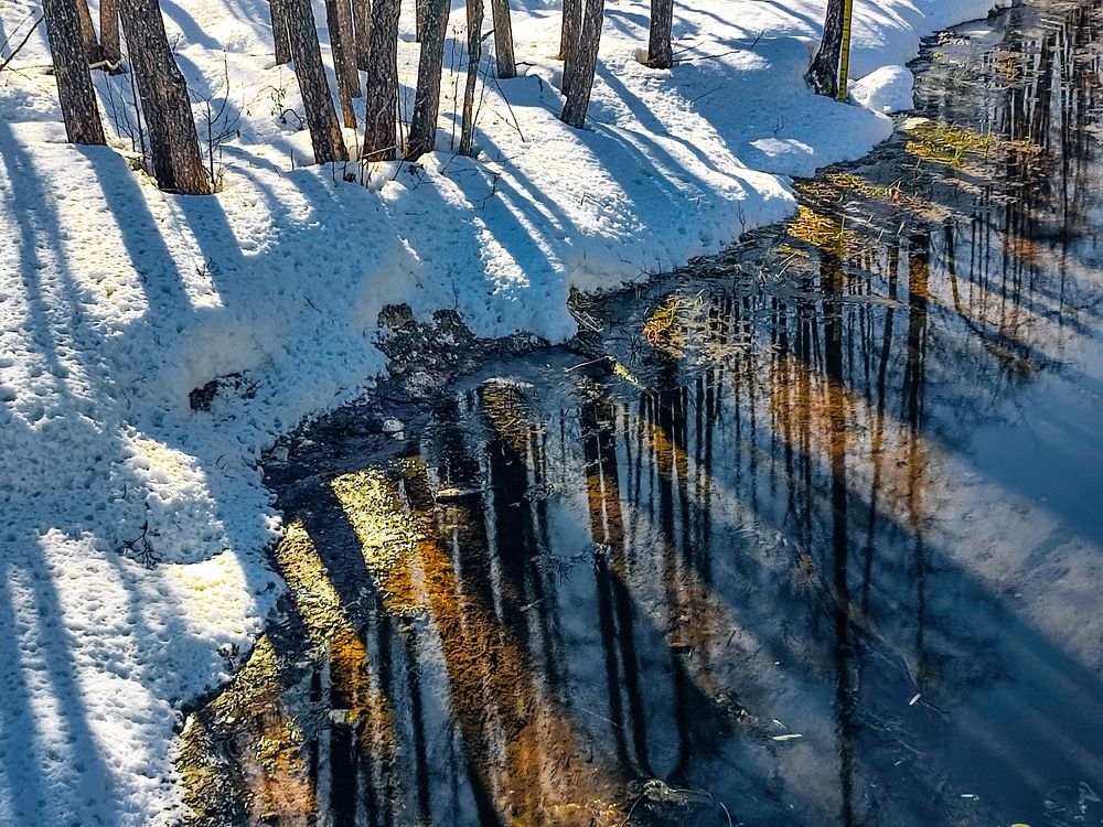 Photograph by Алёна Пшеленская