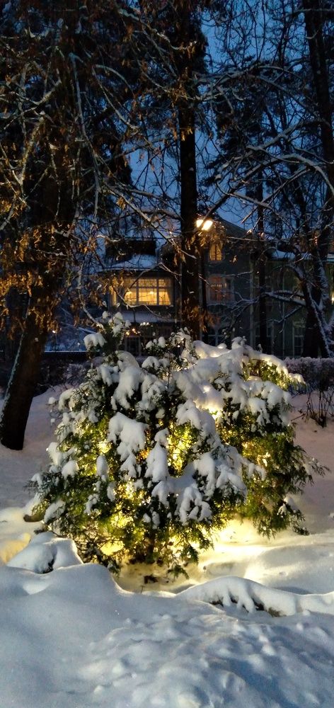 Photograph by Любовь Макарова