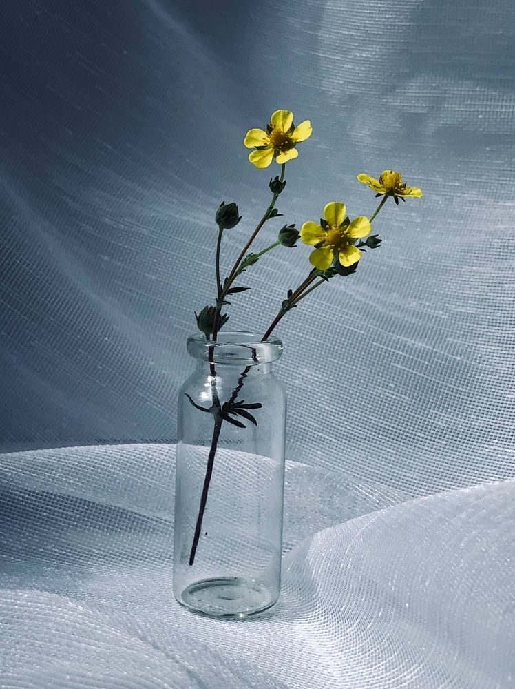 Photograph by Halina Mitsevich