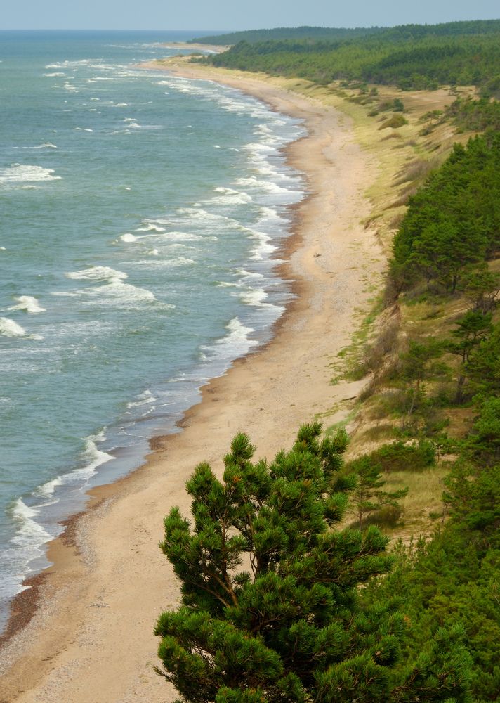 Фотография автора Elvijs Kalniņš