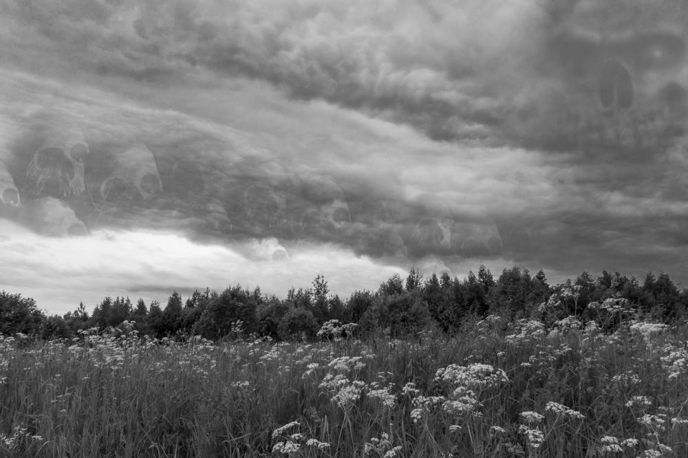 Photograph by Олег Дорошенко