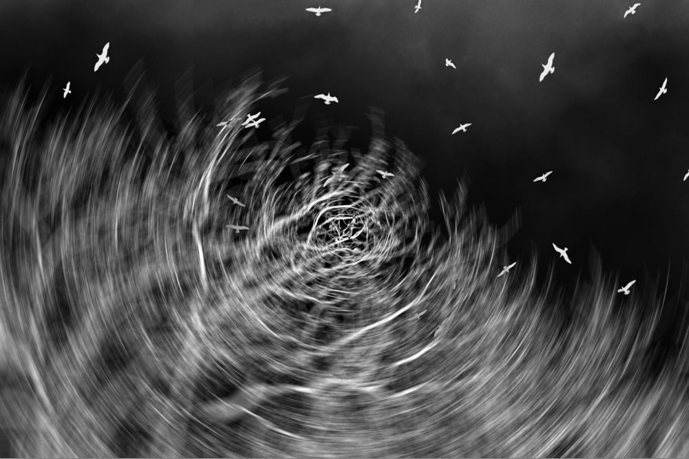 Photograph by Mariq Georgieva