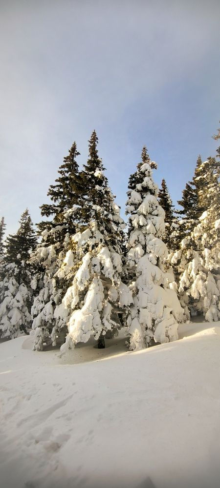 Photograph by Герасимов Александр