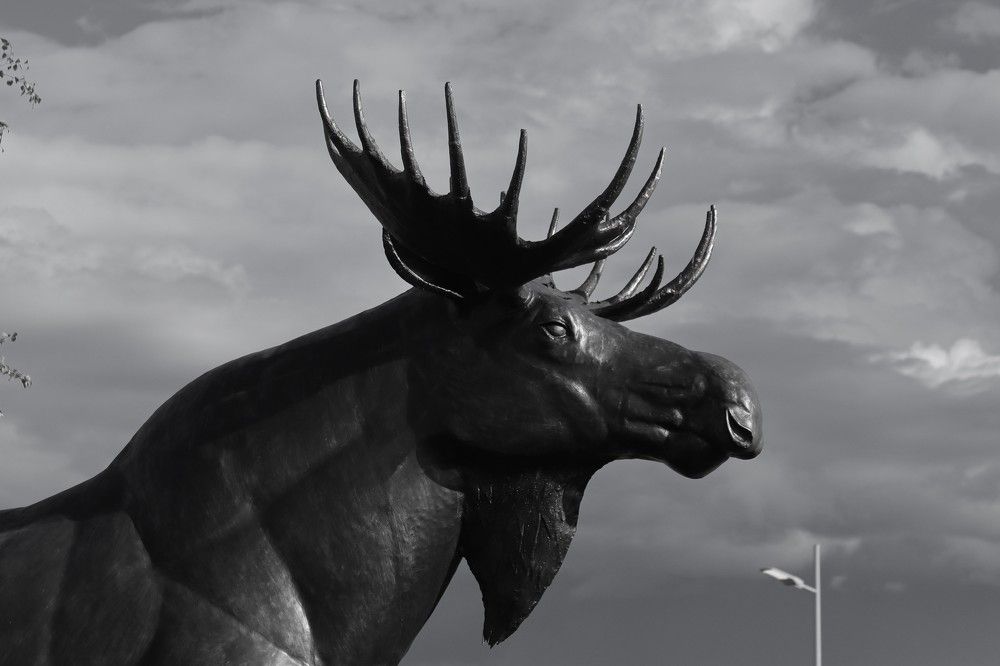 Photograph by ОЛЬГА ДЕРБЕНЕВА