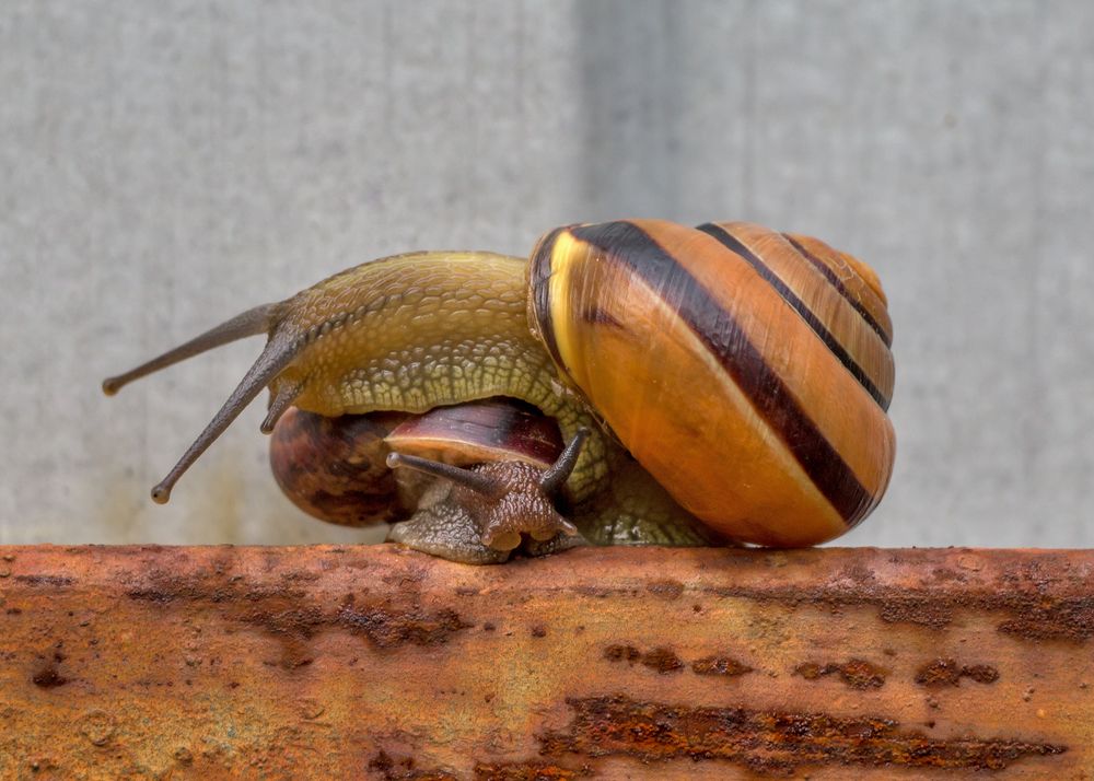 Photograph by Сергей Алексеев