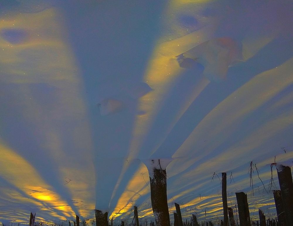 Photograph by Татьяна Кунц