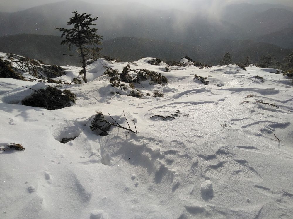 Photograph by Максим Ушаков