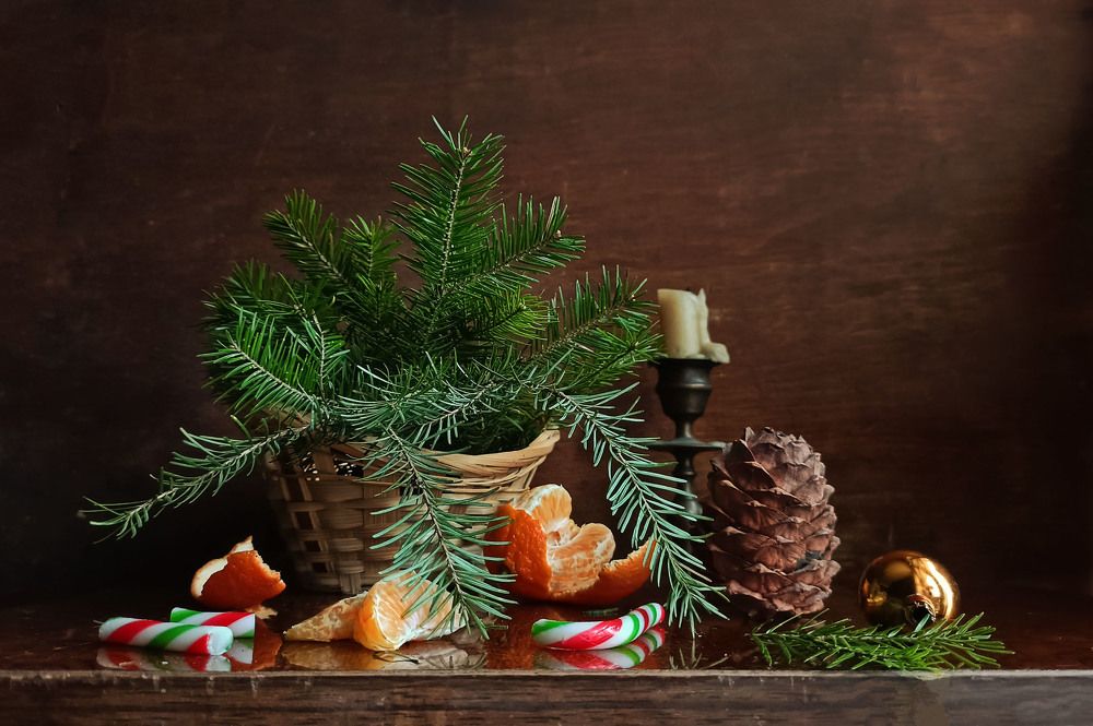 Photograph by Татьяна Лукашева