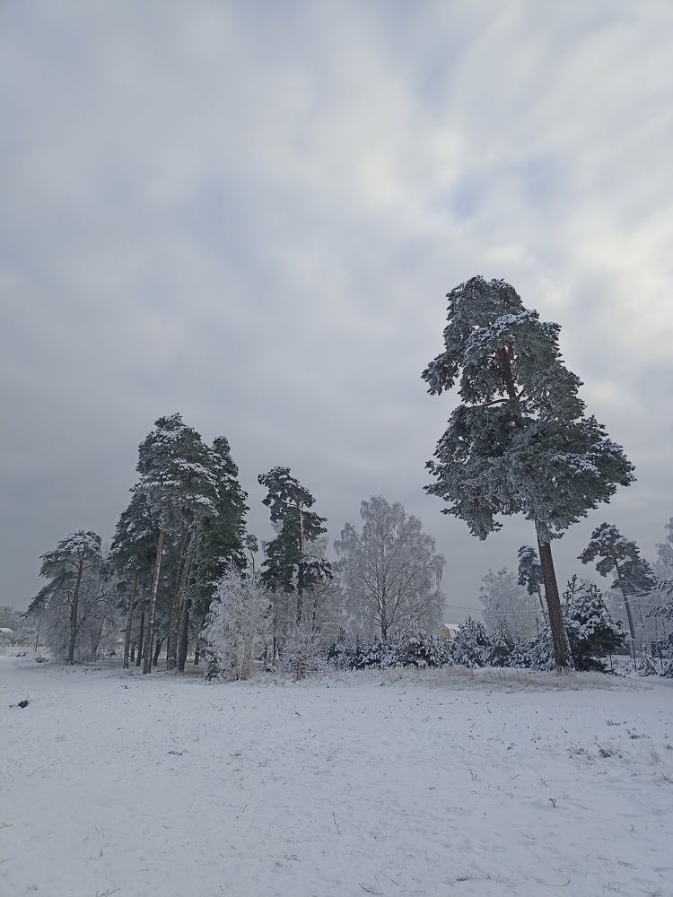 Photograph by Наталья Резванова