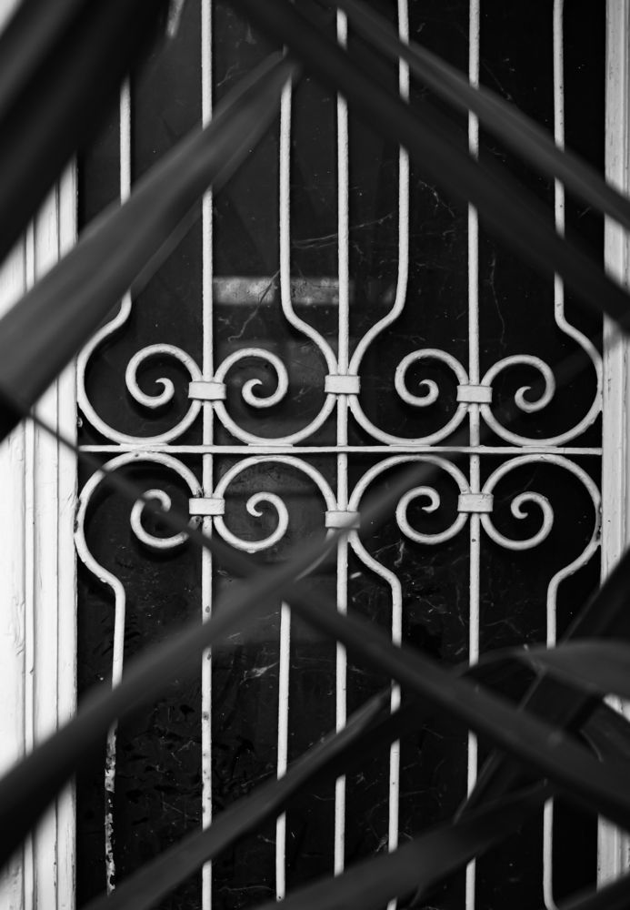 Photograph by Marina Levanov