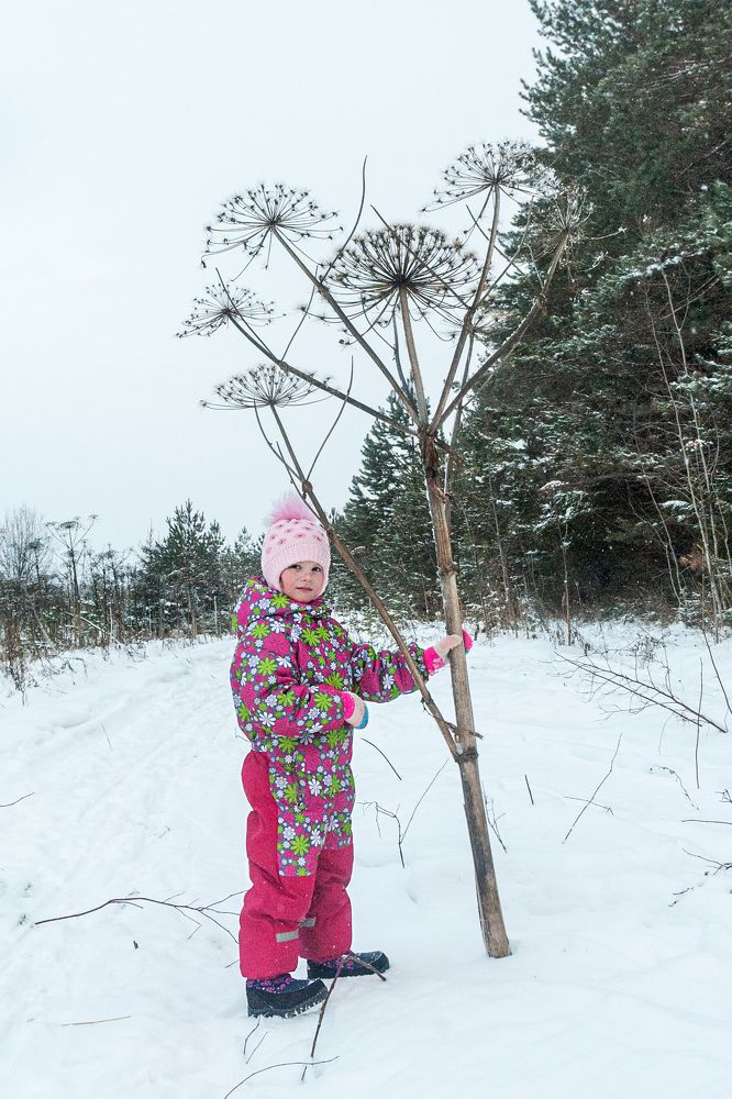 Photograph by Денис Кичев