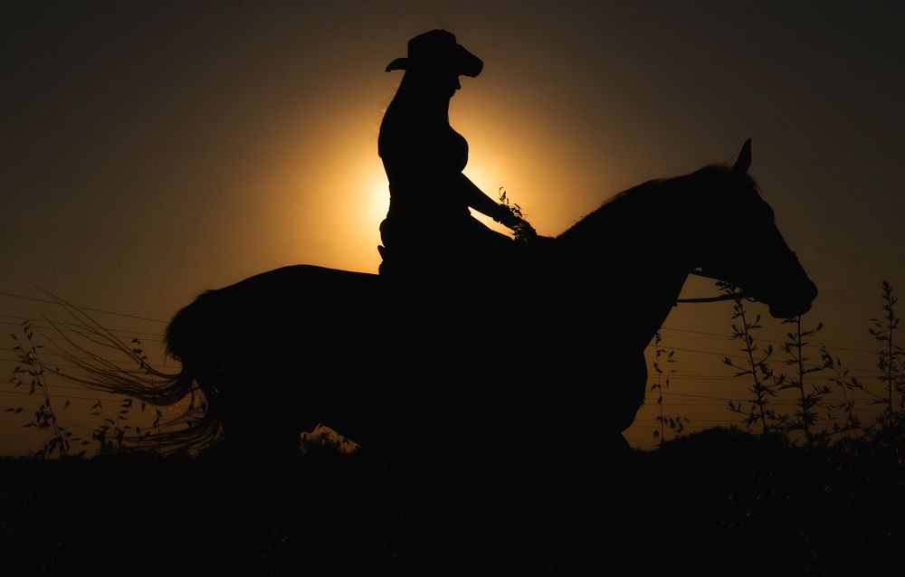 Фотография автора Василев Теодор