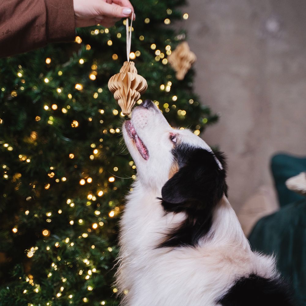 Фотография автора Юлия Бец