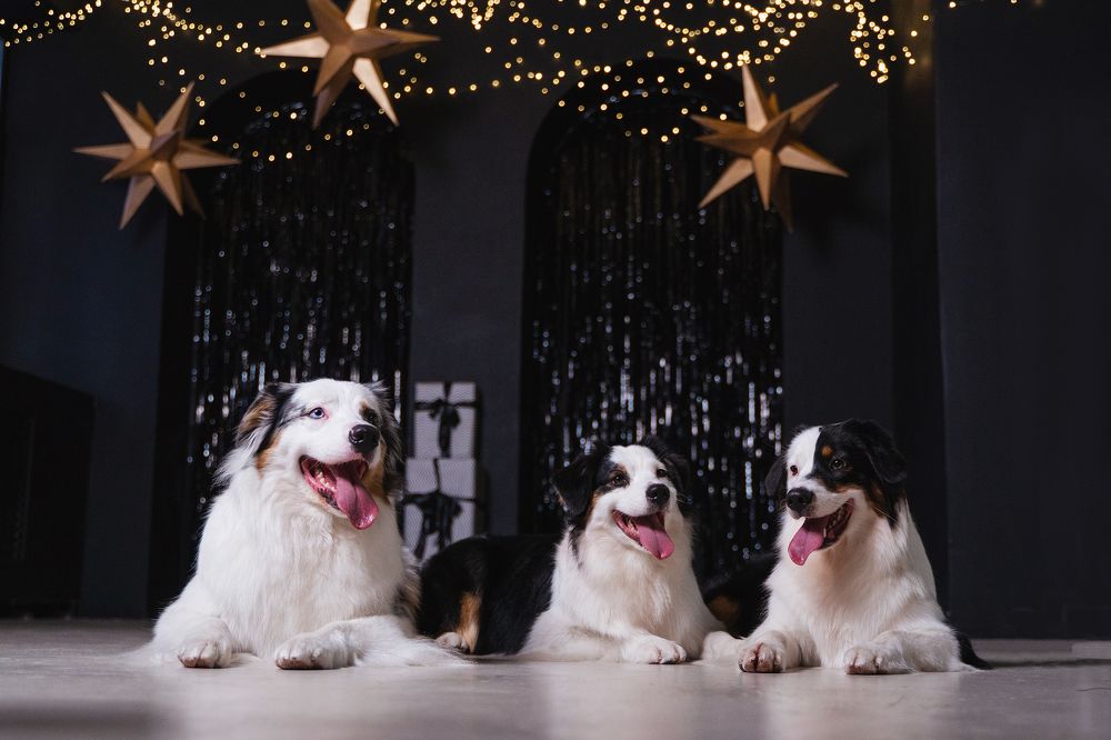 Фотография автора Юлия Бец