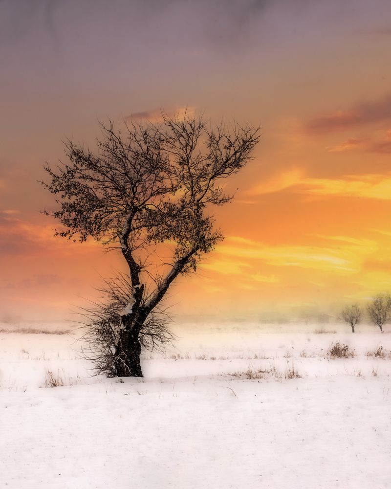 Photograph by Sajad Nori