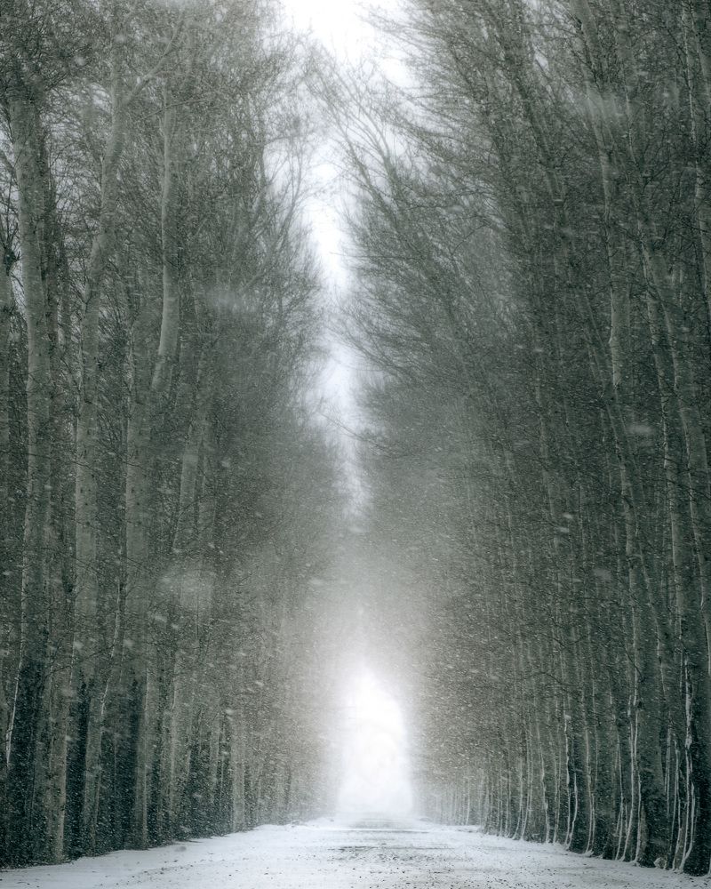 Photograph by Sajad Nori