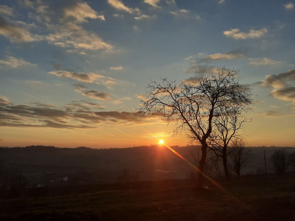 Photo #10043781