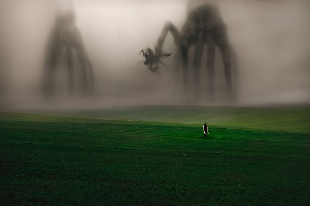 Photograph by Sajad Nori