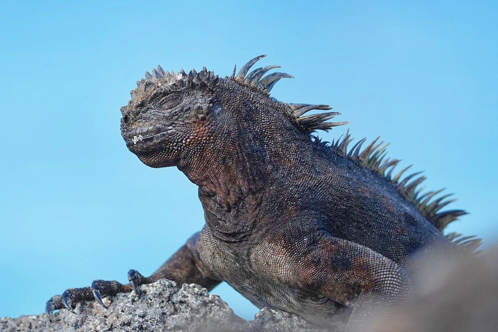 Фотография автора Jian Ma