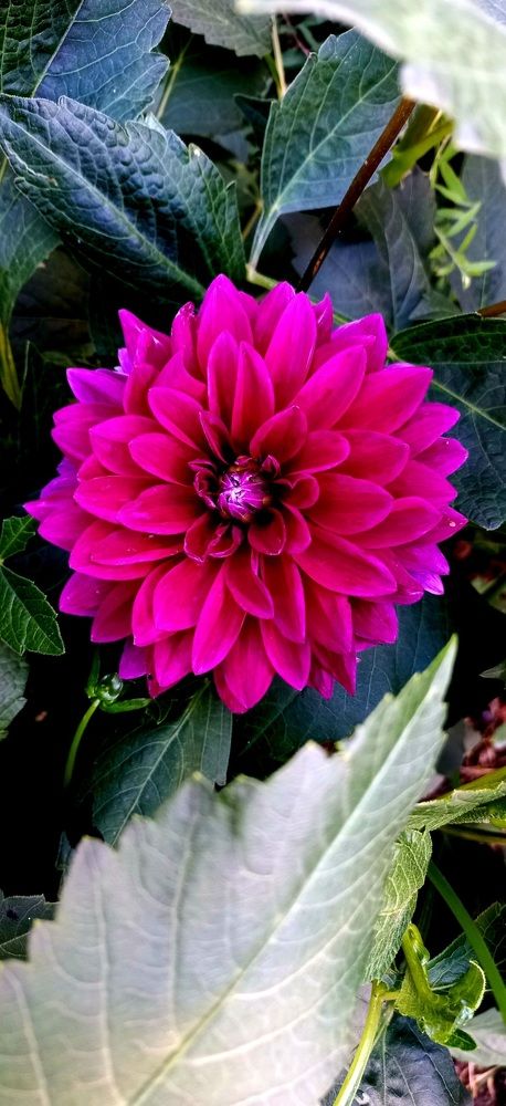 Photograph by Каковкина Ольга