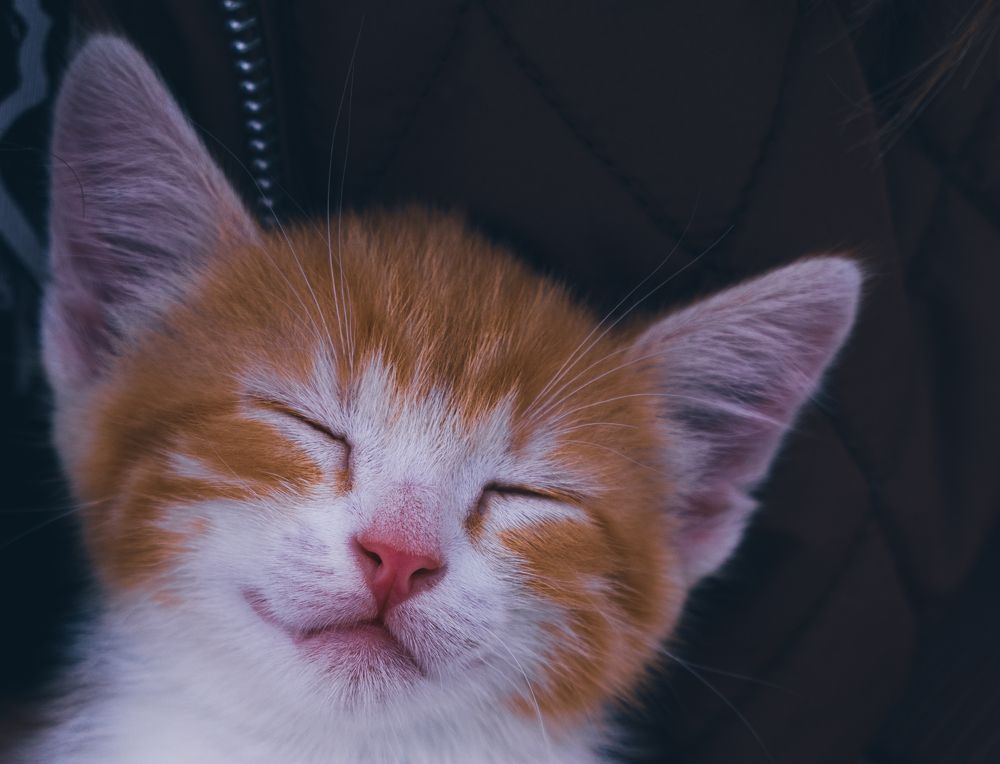 Photograph by Герман Крупенин