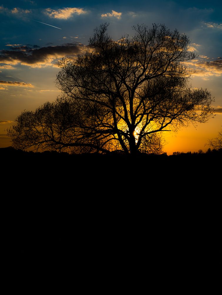 Photograph by Герман Крупенин