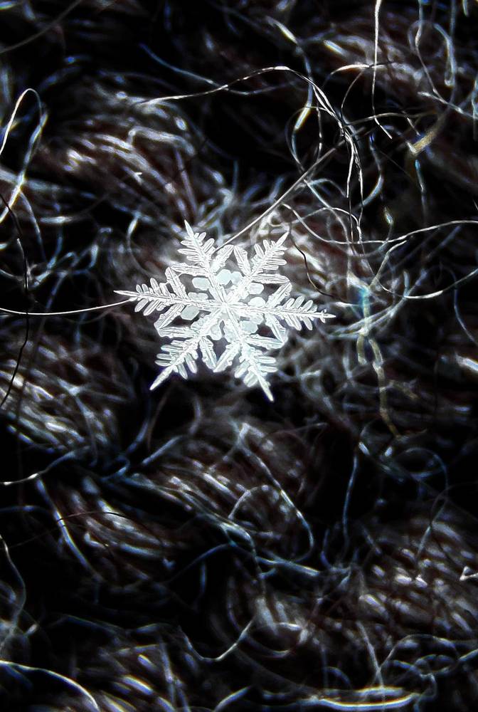 Photograph by Natalia Bolotenkova