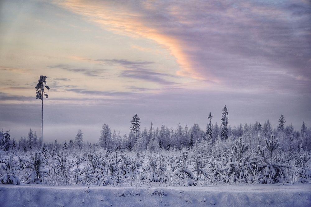 Photograph by Марина Безенкина