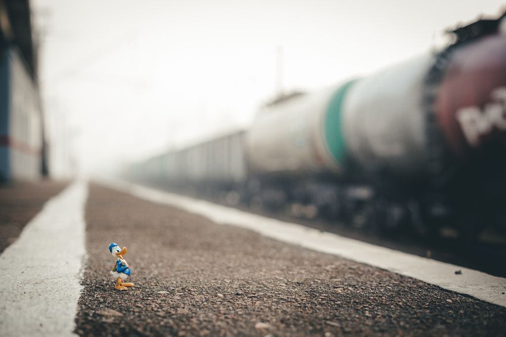 Фотография автора Станислава Гордеева