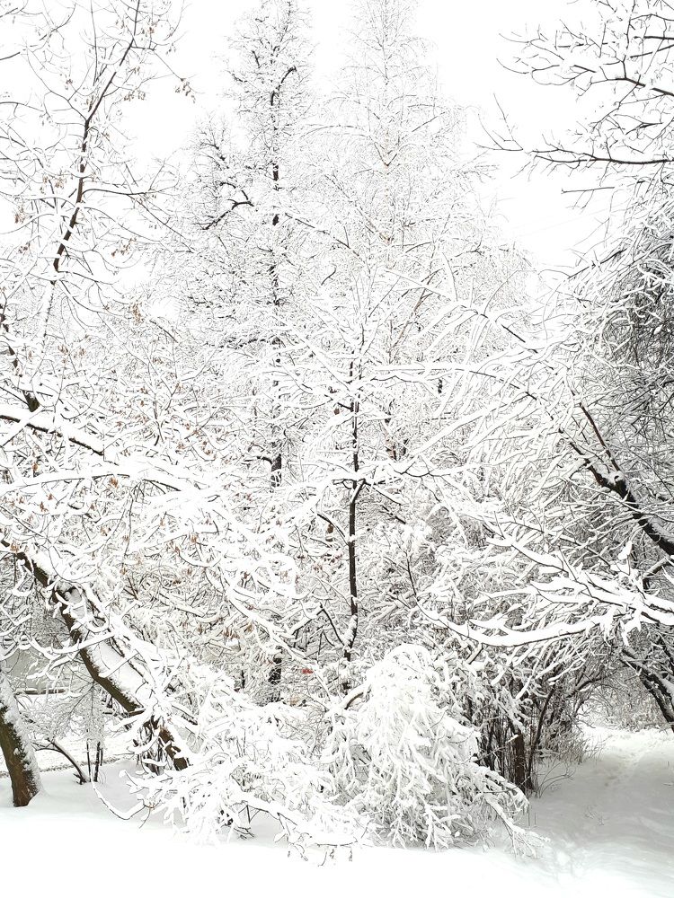 Photograph by Виктория Образцова