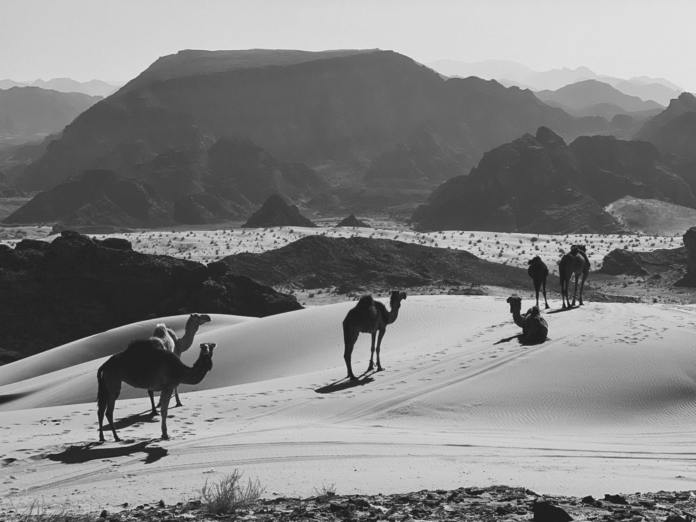 Photograph by Natalie Snider