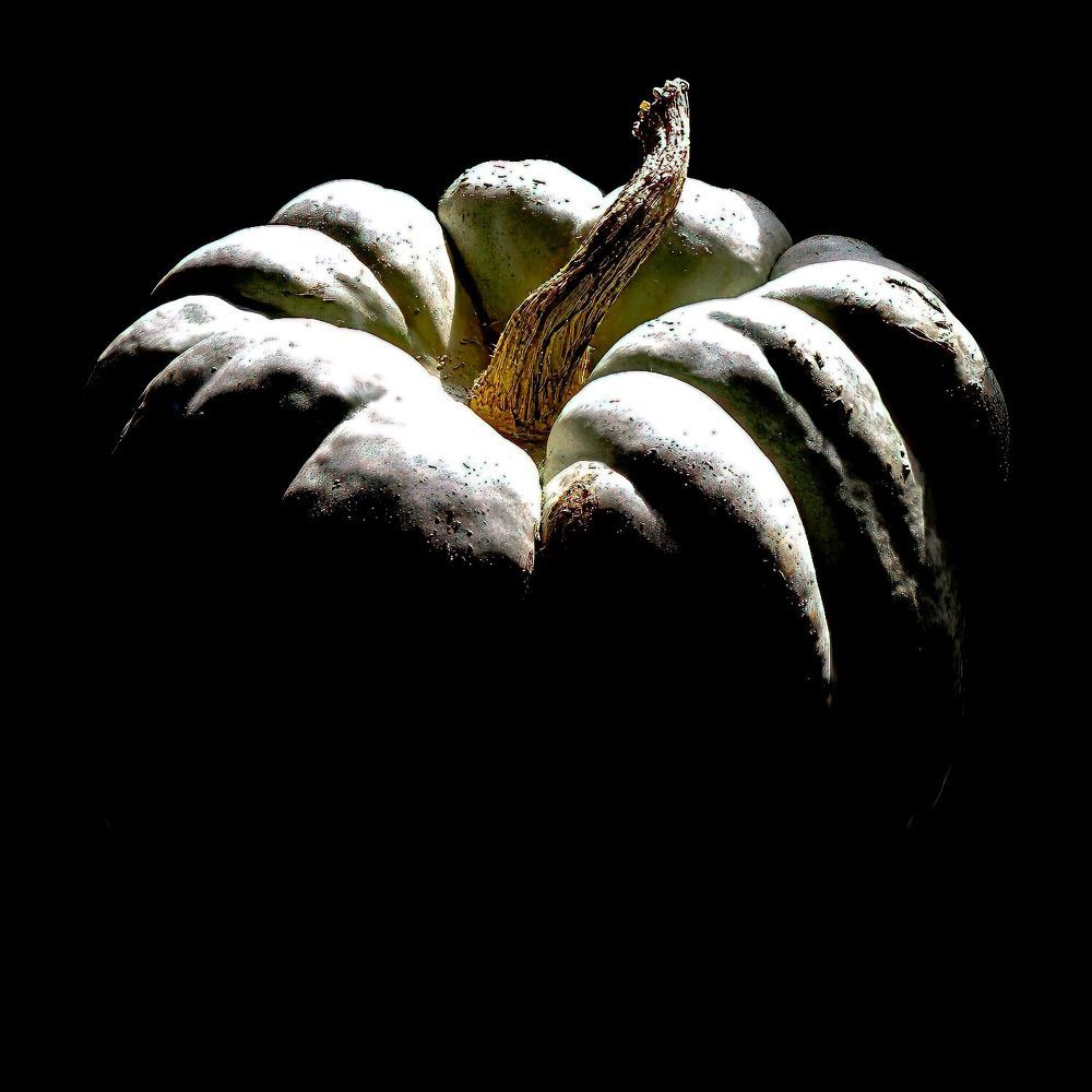 Фотография автора Ray Asiala