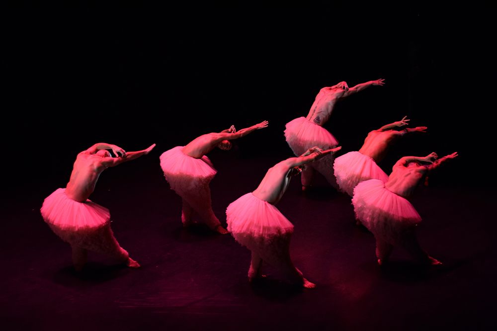 Photograph by aref joftkar