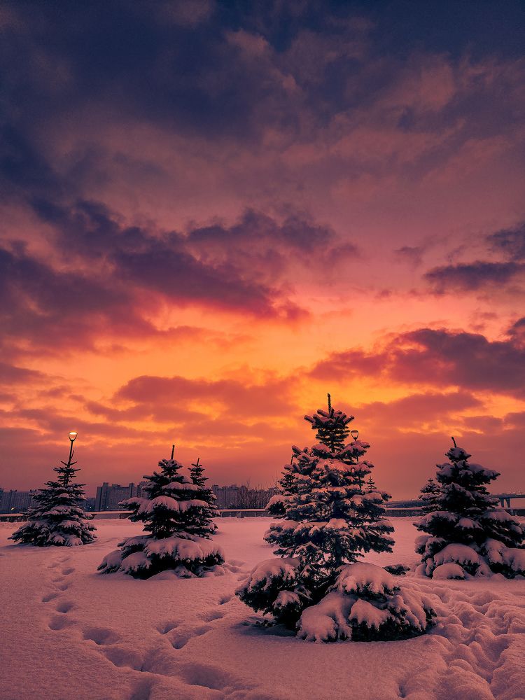 Photograph by Chic.chiquitita