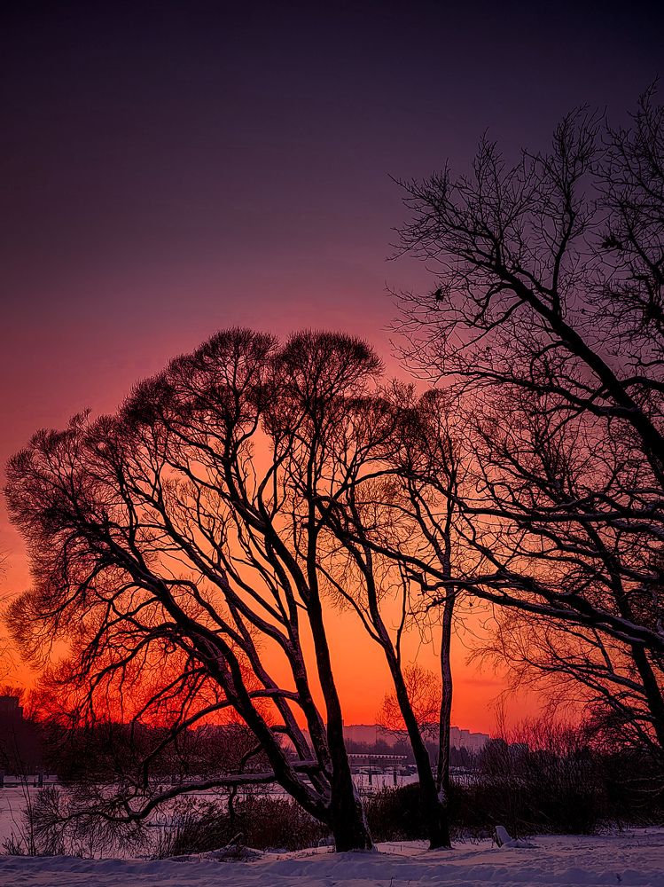 Photograph by Chic.chiquitita