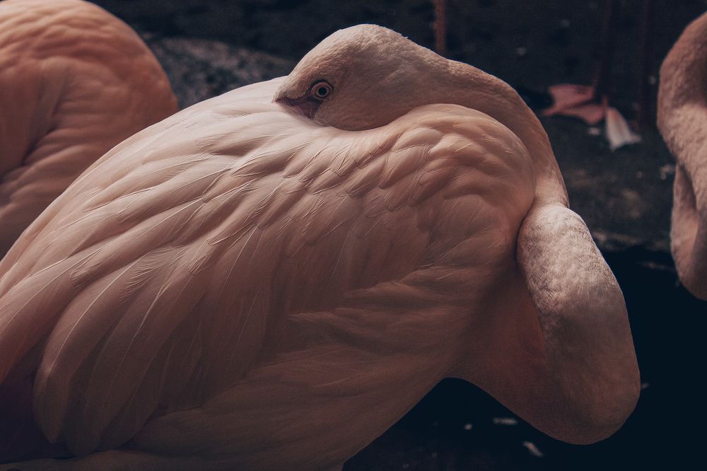 Photograph by Olga Gorokhova