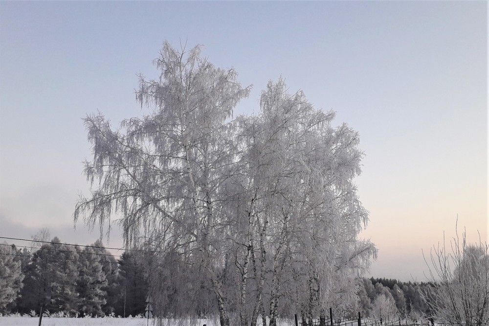 Photograph by Удовченко Елена
