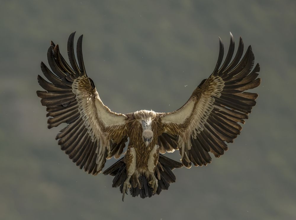 Photograph by Ernestas Balcikonis