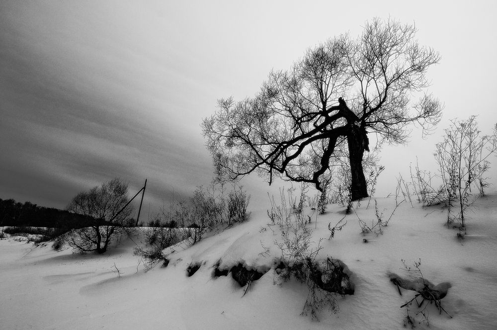 Photograph by Сергей Сережников