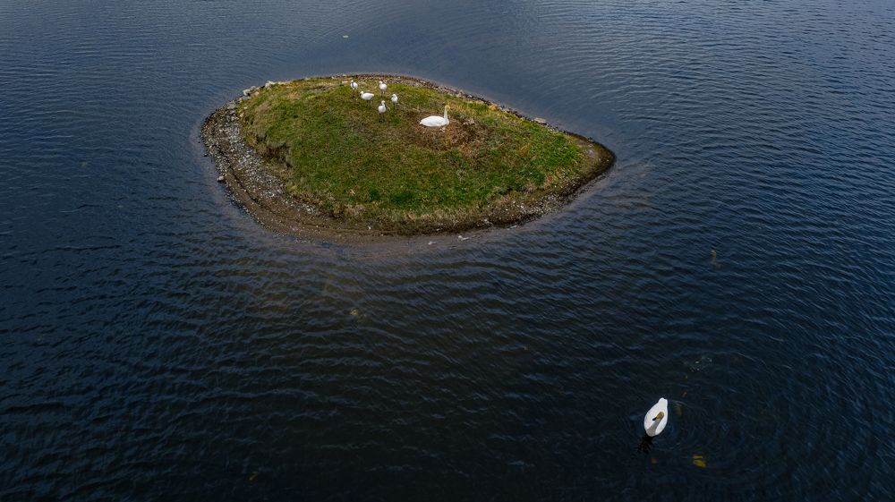 Photograph by Borjigon Bayasal